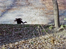 Photo by Filip Holienčin