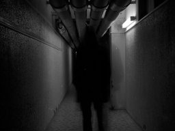 Photo by Filip Holienčin