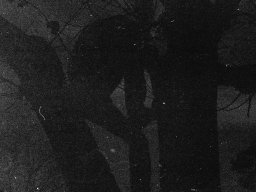 Photo by Filip Holienčin